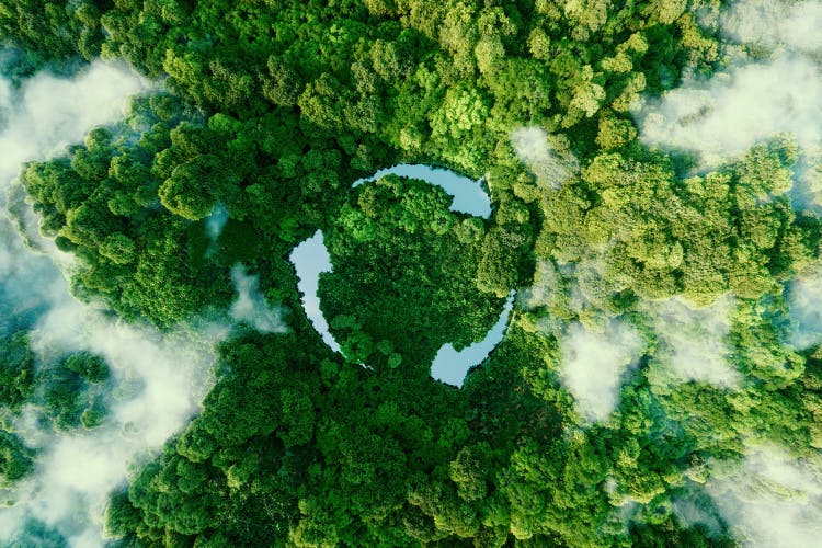 Image shows an aerial view of a rainforest with lakes in the shape of a recycling symbol