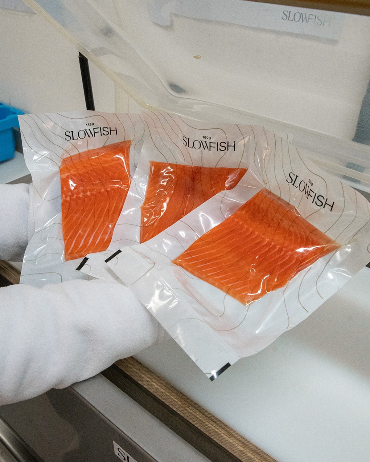 Photograph of fish inside Slowfish packaging designed by Vasava