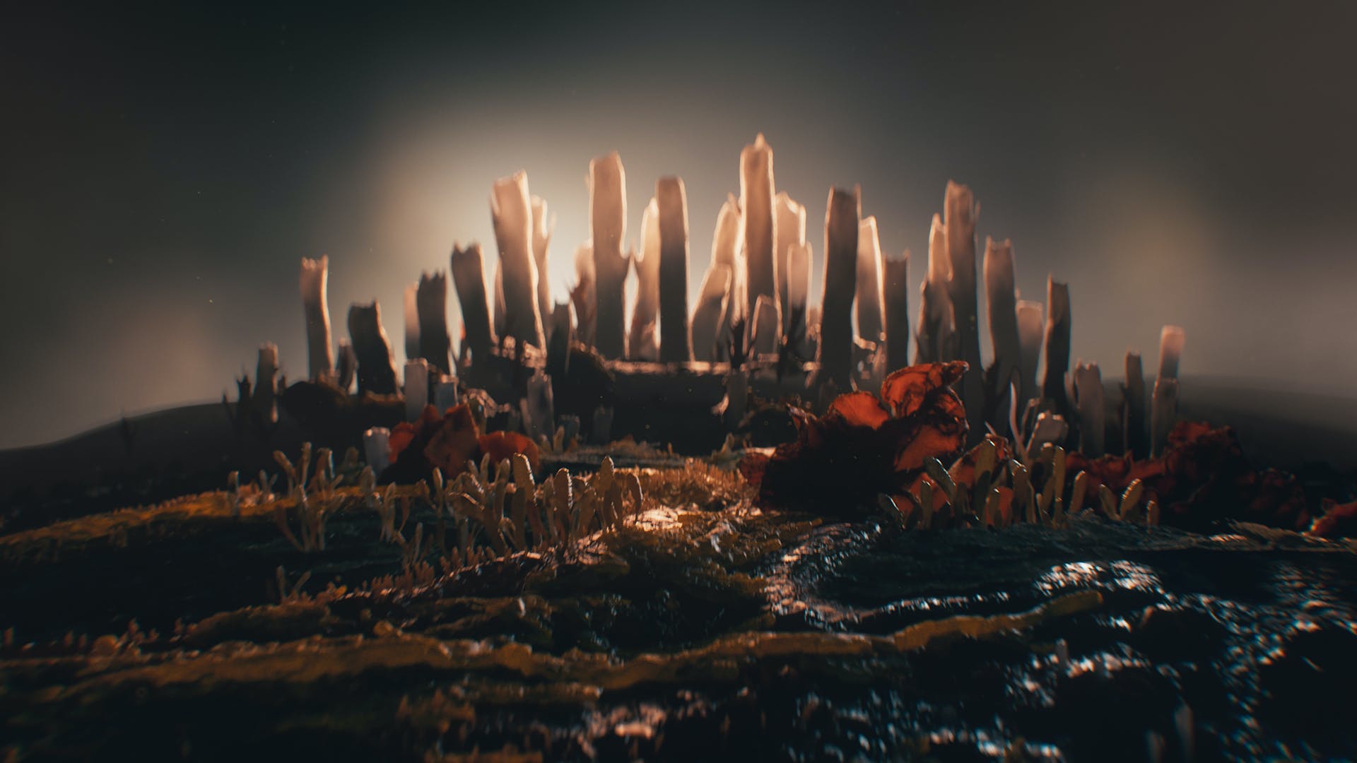 Still frame from HBO TV series The Last of Us showing visuals of fungus resembling a hilly landscape